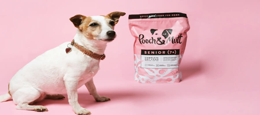 The Best Supplements for Senior Dogs